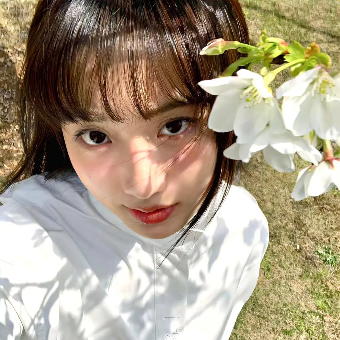 弯曲幸运草